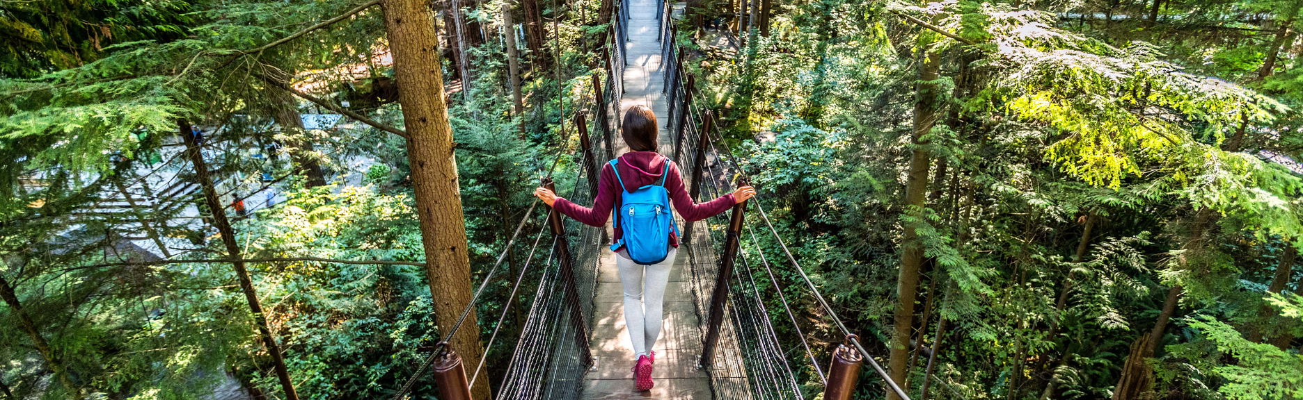 Grouse Mountain Day Trip