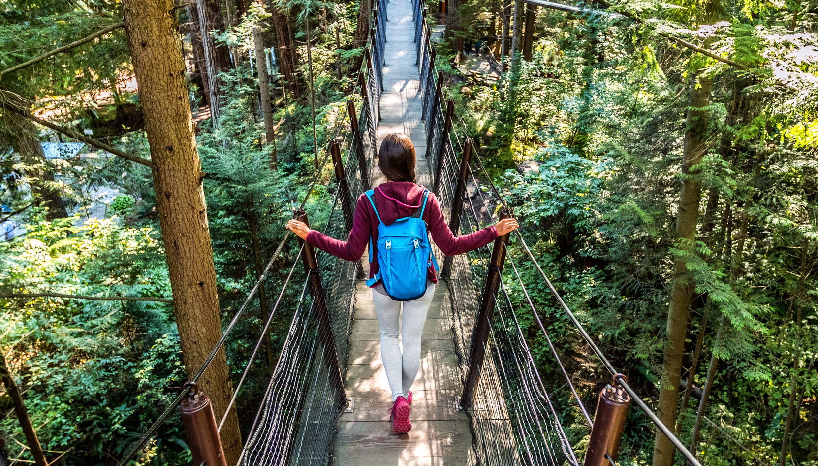 Grouse Mountain Day Trip