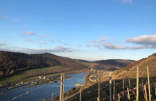 Citystudio 3 Rosenburgblick in Moselnähe - Foto 8