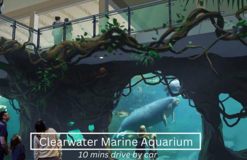 NEW Beach Cozy Bungalow 2B Mins-beach&downtown - Foto 34