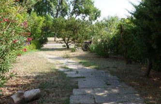 Fiordo Appartamento 1331 Isola di Albarella - Foto 9