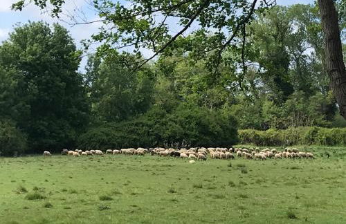 Studio en bord de mer sur Costa Serena N54 - Foto 37