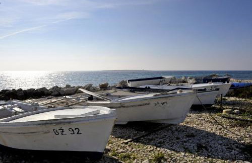 The House Aunt Regina - Foto 62