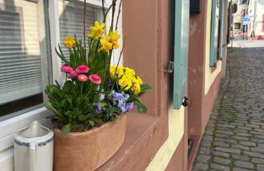 Wohlfühlen & Entdecken in der barocken Altstadt - Foto 40
