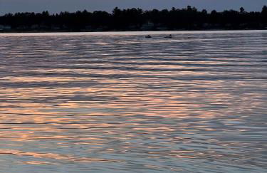 The Ladybug House - Foto 23