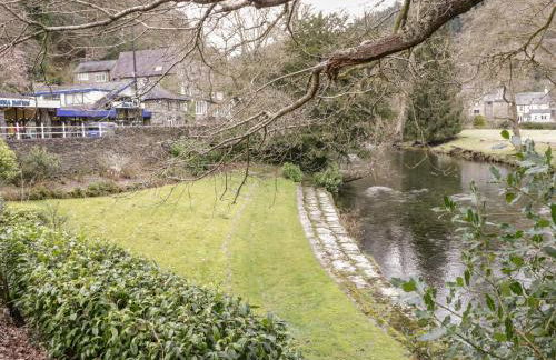 Bryn Dedwydd Cottage - Photo 25