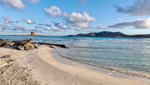 ISA-Villas with air conditioning, shared pool and private outdoor space just a few km from La Pelosa beach - Foto 4