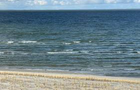 Ferienwohnung "Am Walde" - Foto 2