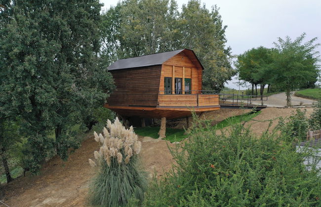 La Barca nel Bosco di Cascina Papa Mora - Foto 16