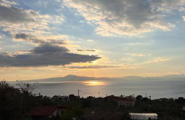 Panorama Studio - Foto 23