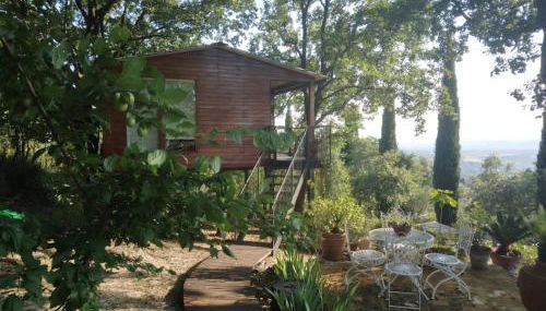 Deliziosa casa sull albero a 30 minuti da Roma - Foto 2