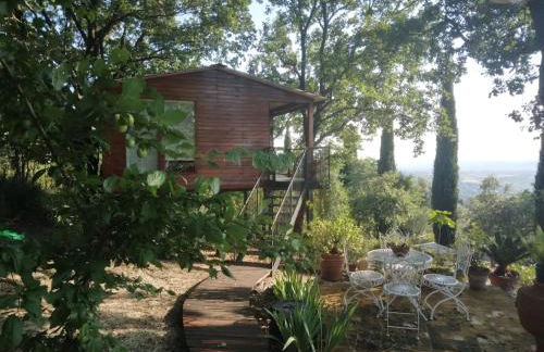 Deliziosa casa sull albero a 30 minuti da Roma - Foto 2