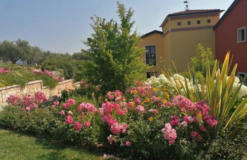 Agriturismo La Rondinella - Photo 10