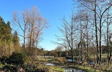 Favour Royal Cottage - dog friendly forest escape - Foto 28