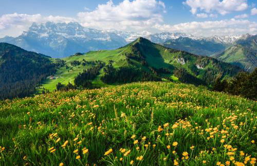 Chalet Les Erines - Foto 31