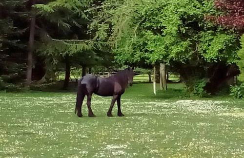 Domaine de Valmeray Gîte - Foto 21