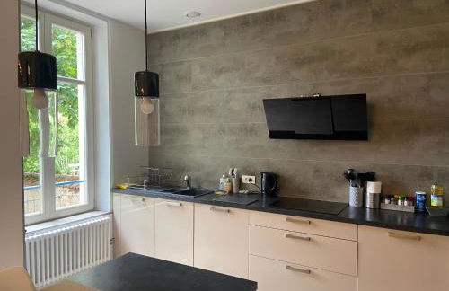 Pasteur T3 de charme Artem parc Ste Marie - Foto 10