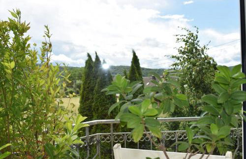 Ferienwohnung Ahrtalblick - Foto 90