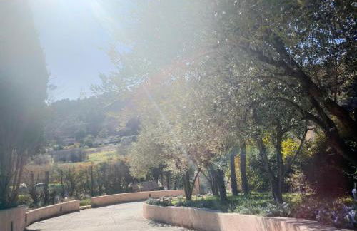 Un brin de paille - Foto 12