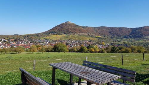 Ferien in Neuffen - Ferienwohnung Plaue - Foto 3