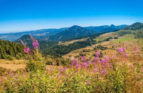 Wood log chalet - Foto 50