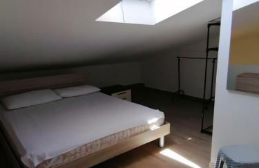 Stella marina - Foto 14