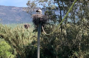 Molino El Mastral - Photo 17