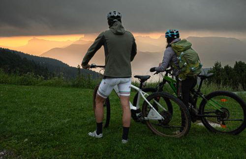 SchartnerAlm - Foto 41