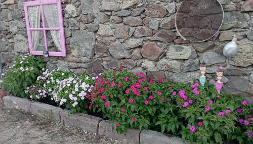 dilemi 3 - Photo 4, Garden