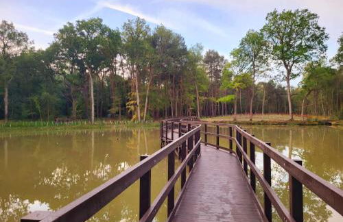 StayZen Apartments - Free Parking & Private Garden Ground Floor Central Woking - Business & Leisure - Photo 40