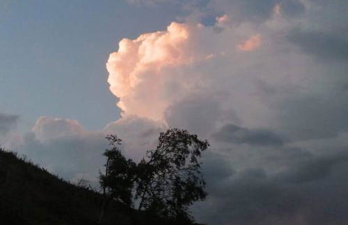 Bwthyn Gweilch - Photo 27