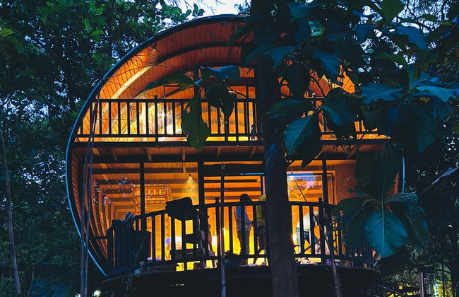 Woodland Sanctuary - Photo 20