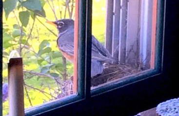 100 percent Private! Pool, Views, Skiing, Theatre! - Foto 43