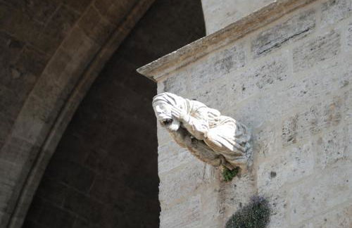 Travel Habitat Jardines Rio Turia. - Foto 26