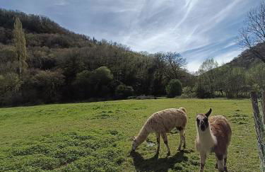 Les Pieds dans l'eau, Gîte Le Blagour - Foto 22