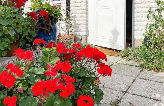 4 Person Holiday Home in Solvesborg - Photo 15