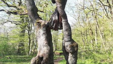 Ferienwohnung zur Erlebnisschmiede - Foto 2