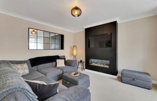 The Squirrels - Foto 16