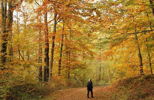 Ferienwohnung Grete - Foto 39