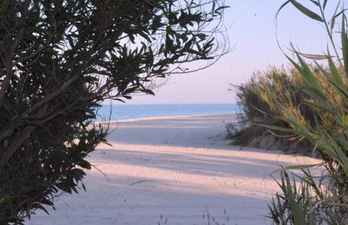 Palazzo Jannoni Holiday - Foto 40