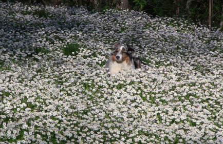 Agriturismo Frallarenza - Foto 53