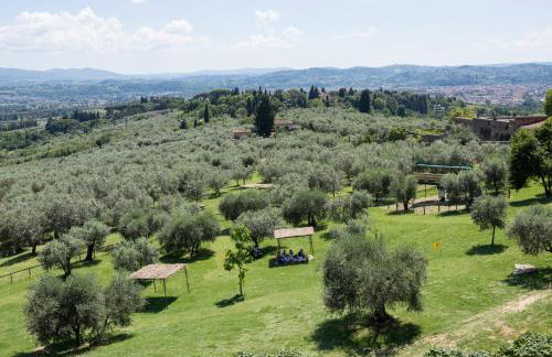 Fattoria di Maiano - Photo 56
