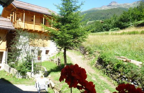Maso Fior di Bosco - Val di Rabbi - Esercizio Rurale - Foto 35