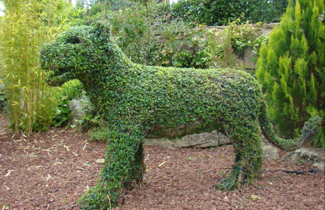 Enchanted Forest Tickets - Foto 11