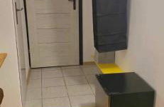 zielono mi - Foto 51