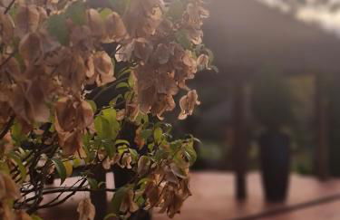 Rancho Comancho - Foto 41