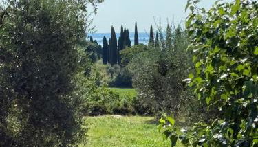 Padenghe Olive House - Ground-Floor Lake View Amid Olives - Foto 4, Garden