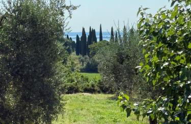 Padenghe Olive House - Ground-Floor Lake View Amid Olives - Foto 4