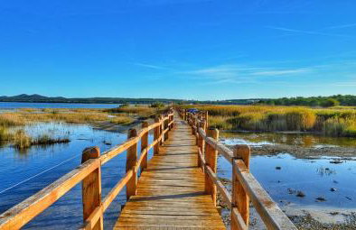 Holiday house Barba - Vrana - Foto 54