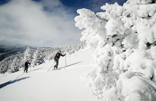 Apartaments Piteus Casa Dionís - Foto 85